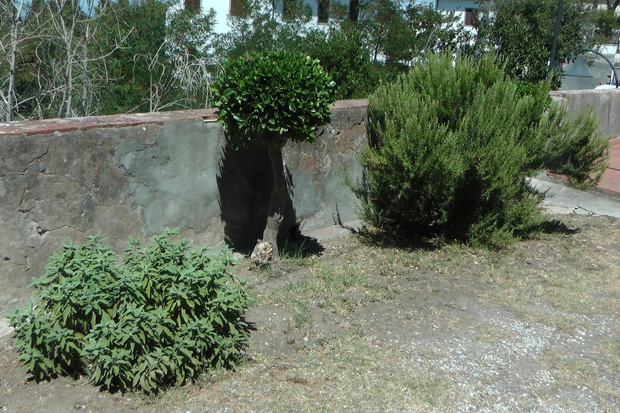 Ferienhaus Villa Della Querceta Livourne Extérieur photo